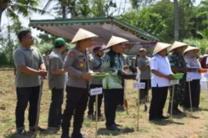 Polres dan Pemkab Bondowoso Kompak Dukung Program Ketahanan Pangan Lewat Penanaman Jagung Serentak
