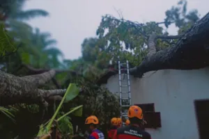 Kepala Bidang Penanganan Kedaruratan BPBD Bondowoso, Yuliono Triandana, menyampaikan bahwa dua wilayah yang terdampak adalah Dusun Krajan, Desa Kejayan, Kecamatan Pujer, dan Desa Ardisaeng, Kecamatan Pakem.