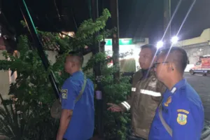 Satpol PP dan Damkar Bondowoso Tertibkan Tiang Tak Berizin di Tenggarang