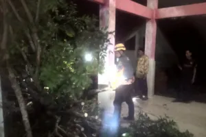 Angin Kencang Terjang Desa Jambewungu, Satu Pohon Tumbang Timpa Belakang Balai Desa