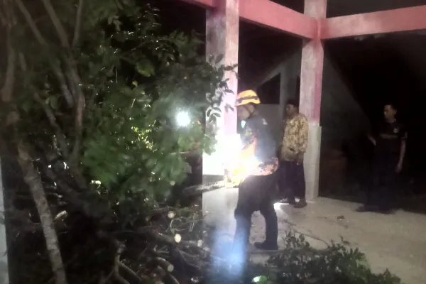 Angin Kencang Terjang Desa Jambewungu, Satu Pohon Tumbang Timpa Belakang Balai Desa