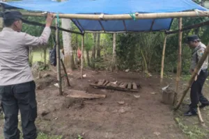 Polres Malang Kembali Tertibkan Lokasi Dugaan Sabung Ayam di Kalipare