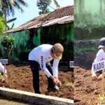 Kolaborasi Lintas Sektor, Pemkab Bondowoso Melalui DPKP Genjot Ketahanan Pangan dari Pekarangan