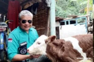 Inseminasi Buatan di Curahdami Dongkrak Kualitas Ternak Sapi Bondowoso